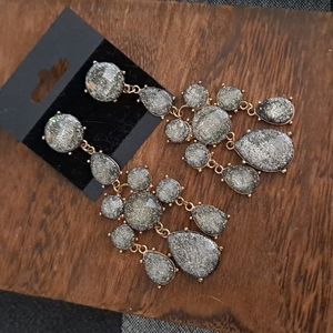 Earrings NWOT